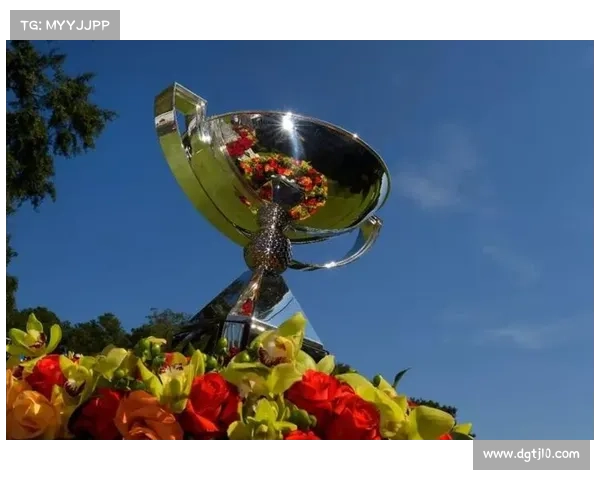 全方位全面解读欧协联决赛规则与比赛流程梳理及观赛要点解析指南